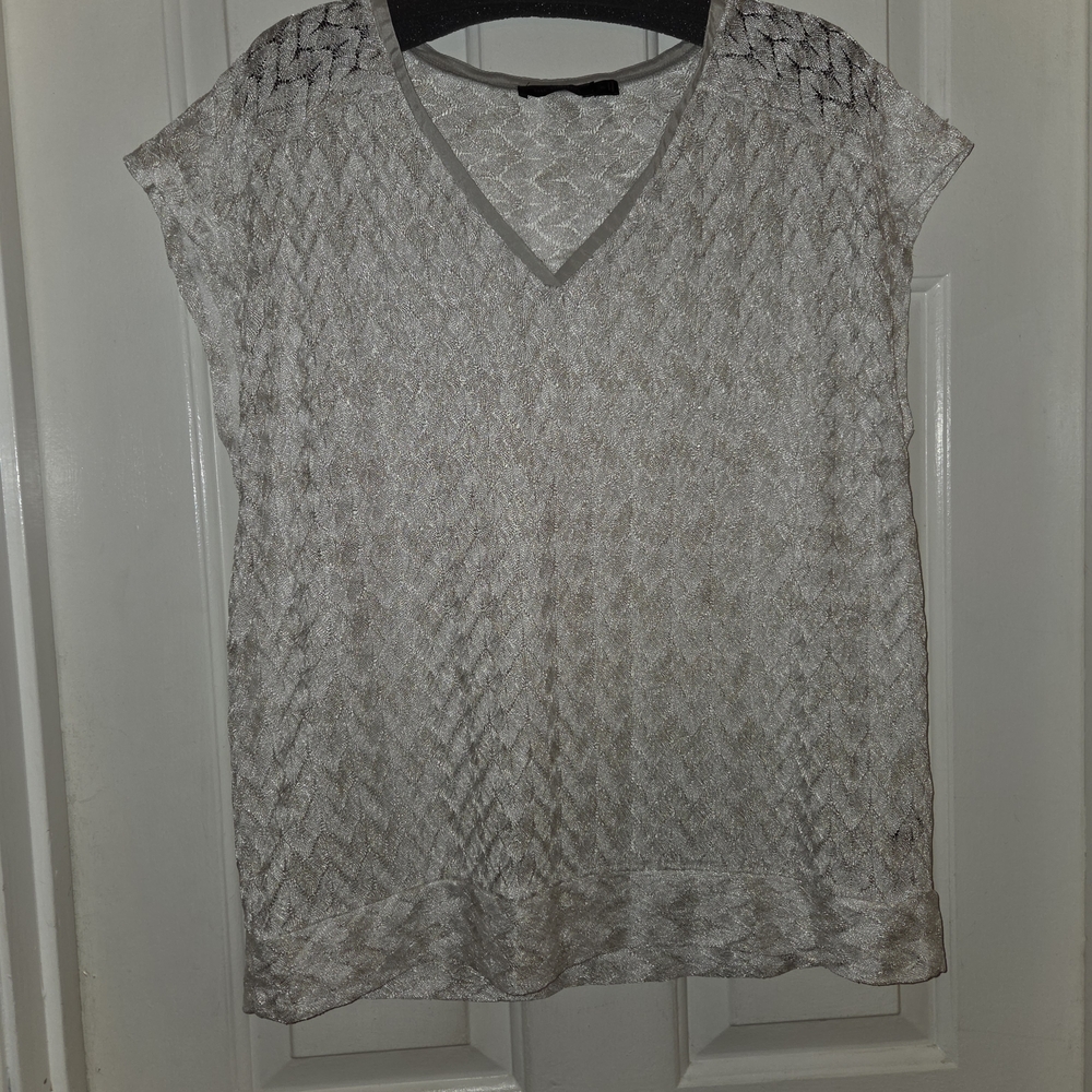 The Limited: Shimmery Metallic Semi-Sheer Woven Blouse.  Size XL.